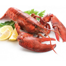 加拿大原隻熟龍蝦 / Cooked North Atlantic Lobster (約420g-450g)