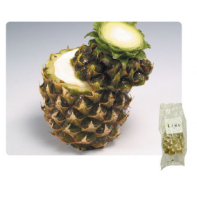 日式原個菠蘿雪葩 / Frozen Whole Pineapple Sorbet
